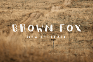 Brown Fox: A Designer’s Honest Review for Real Projects