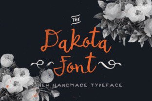 Dakota: A Designer’s Honest Review for Branding