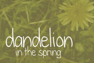 Dandelion in the Spring: A Handwritten Typeface for Editorial Design