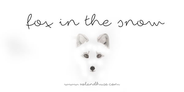 Fox in the Snow: A Handwritten Font for Editorial Design