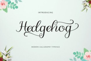 Hedgehog Font: A Script Typeface With Character