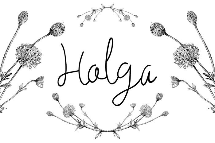 Holga Font: Elevate Your Campaign Visuals