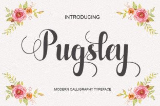 Pugsley: A Handwritten Font for Authentic Campaigns