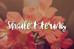 Shailettering Font: A Designer’s Review