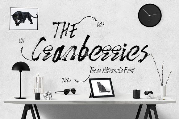 The Cranberries Typeface for Editorial Design