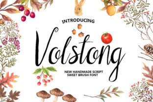 Volstong: A Handmade Script Font for Web Design