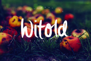 Witold Font Review: A Smooth Script for Social Campaigns